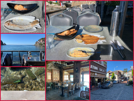 066 Lunch at "Günbatımı Balık", Deep-fried whole sea bream
